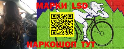 сатива Краснодар