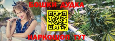 сатива Краснодар