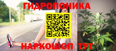 сатива Краснодар