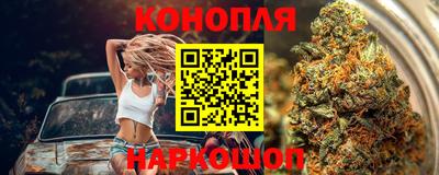сатива Краснодар