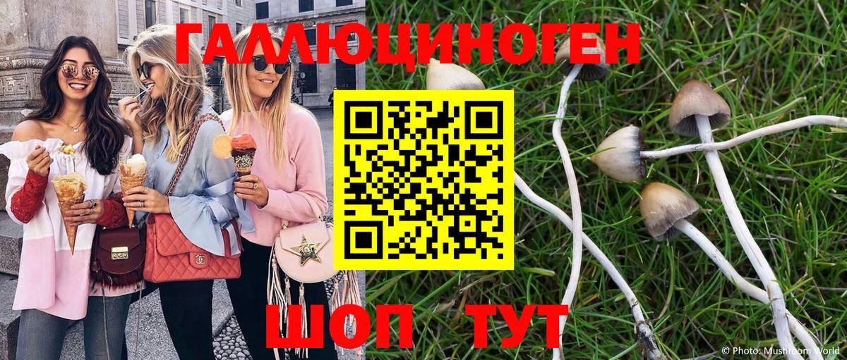 Галлюциногенные грибы MAGIC MUSHROOMS  Вход с VPN  Каменск-Уральский 